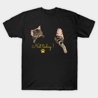 Not today - Sleeping Cat T-Shirt